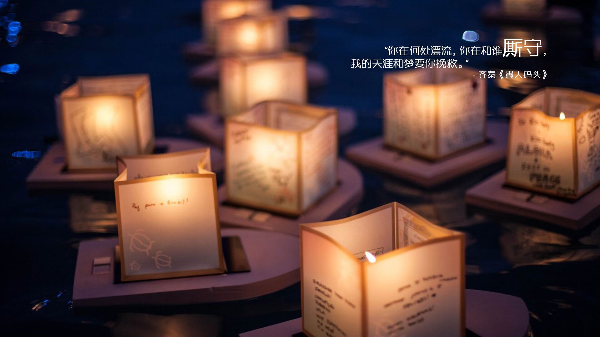 _现场趣味互动:粉丝投票、签名会精彩不断_,明星投票粉丝投票的链接