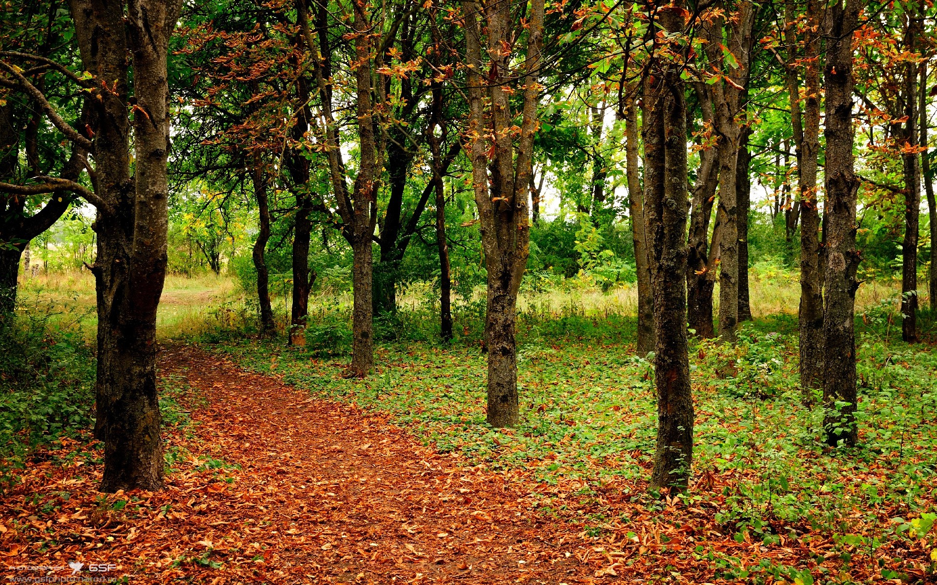 “运动员的人生:篮球明星背后的血泪史”,篮球明星 运动员
