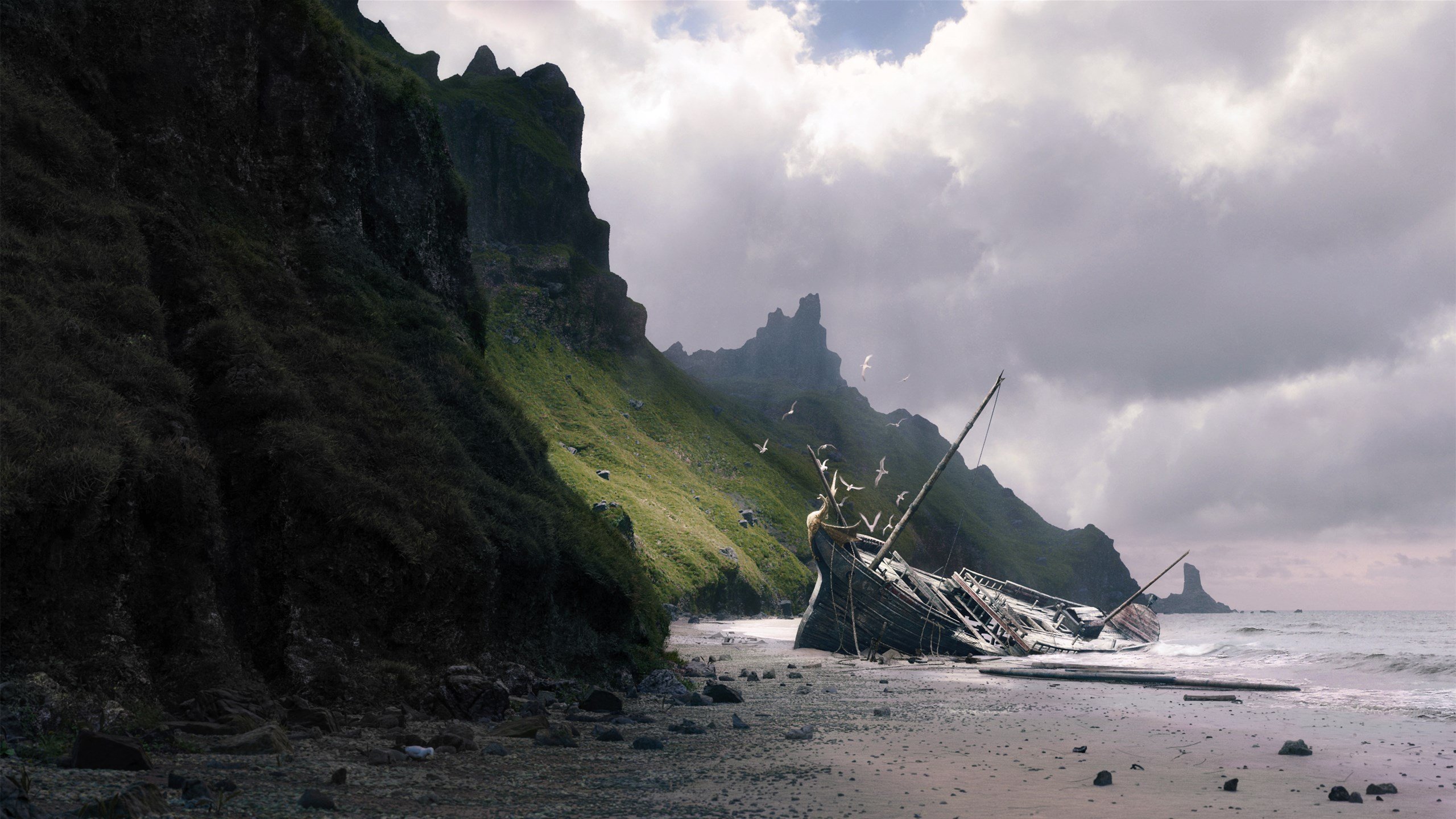 “运动员的人生:篮球明星背后的血泪史”,篮球明星 运动员