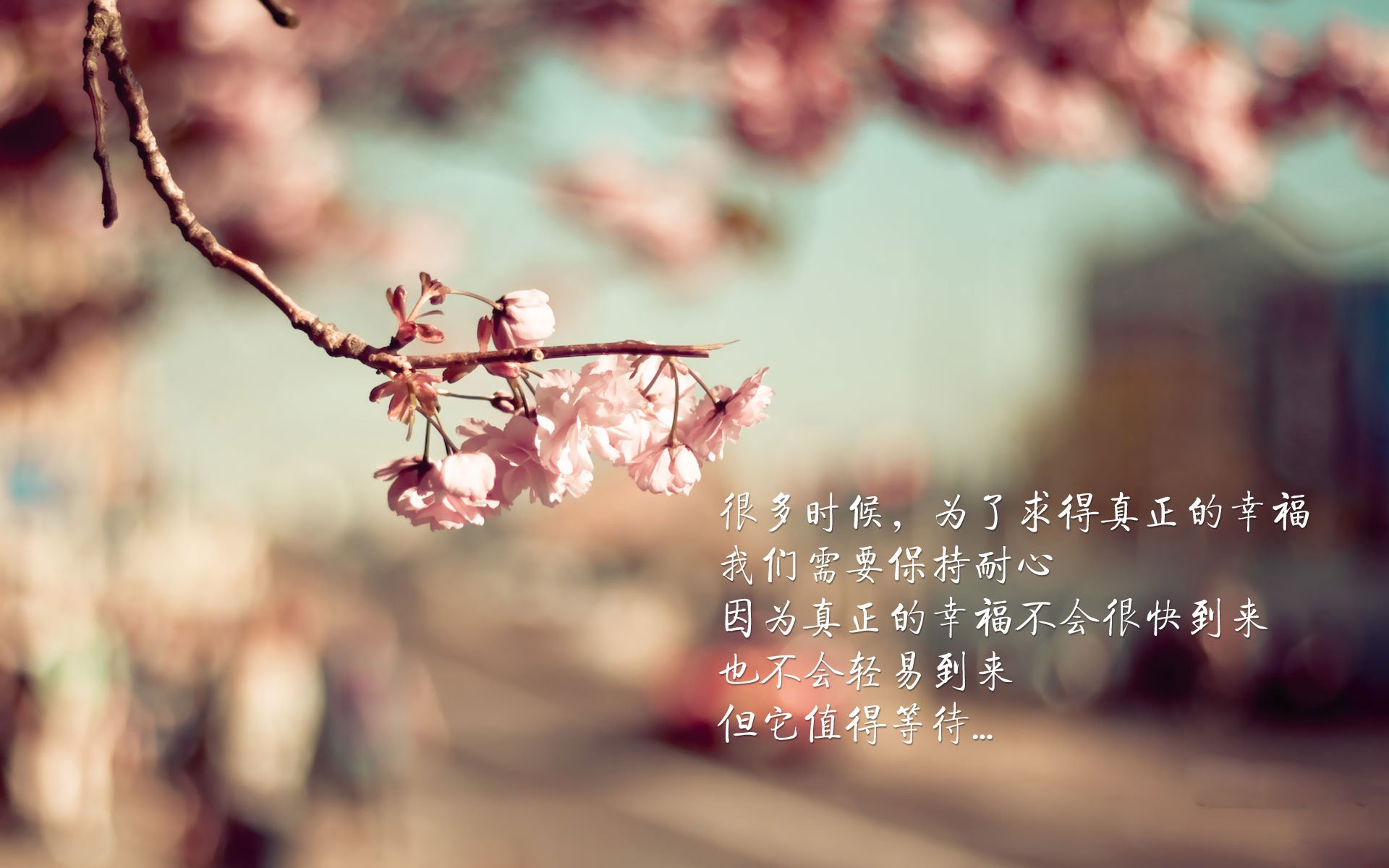 《2025英雄联盟季后赛,EDG逆袭战胜G2夺冠》,lol季后赛edg