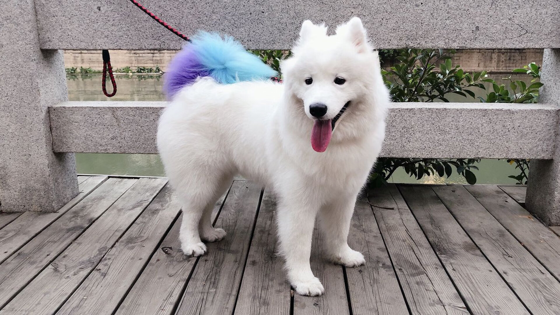 《国家政策不断推动电竞产业,政府设立专项扶持基金》,国家关于推动电竞产业的政策