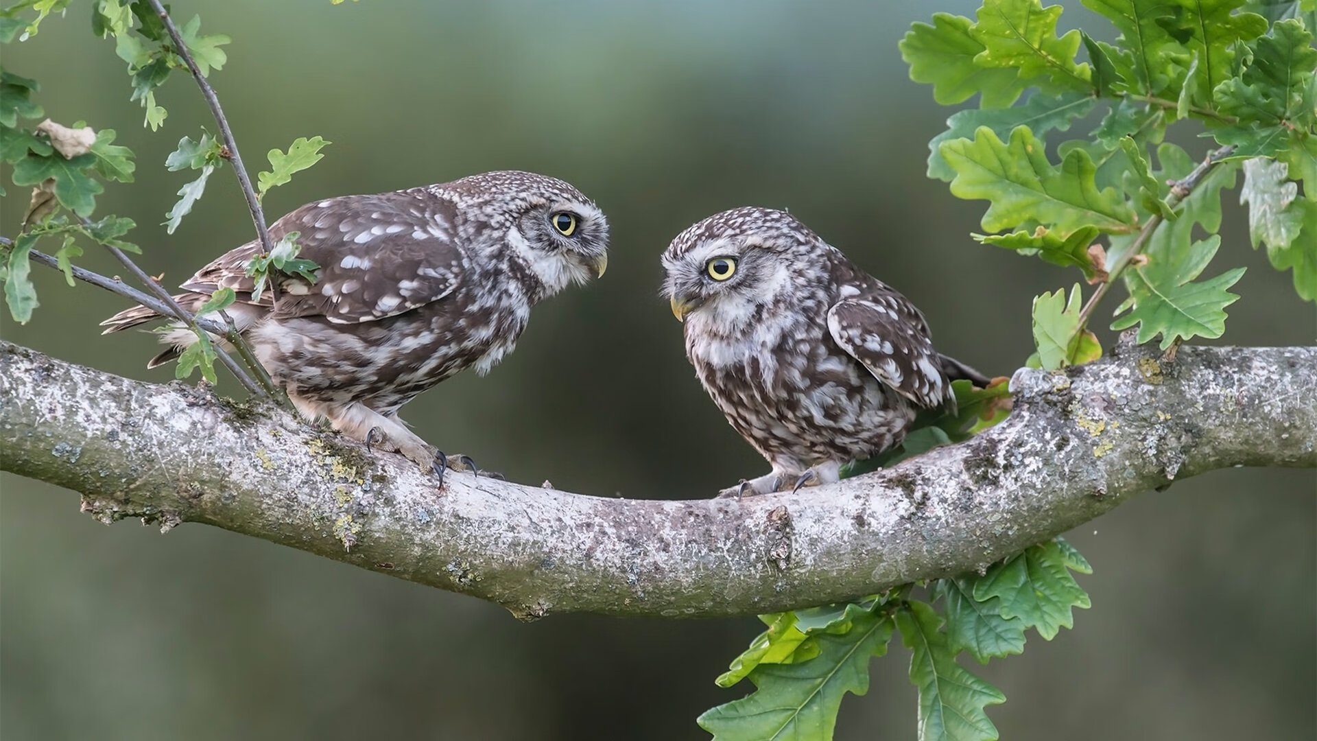 中超助攻榜排名变化激烈竞争激烈,中超历届助攻王