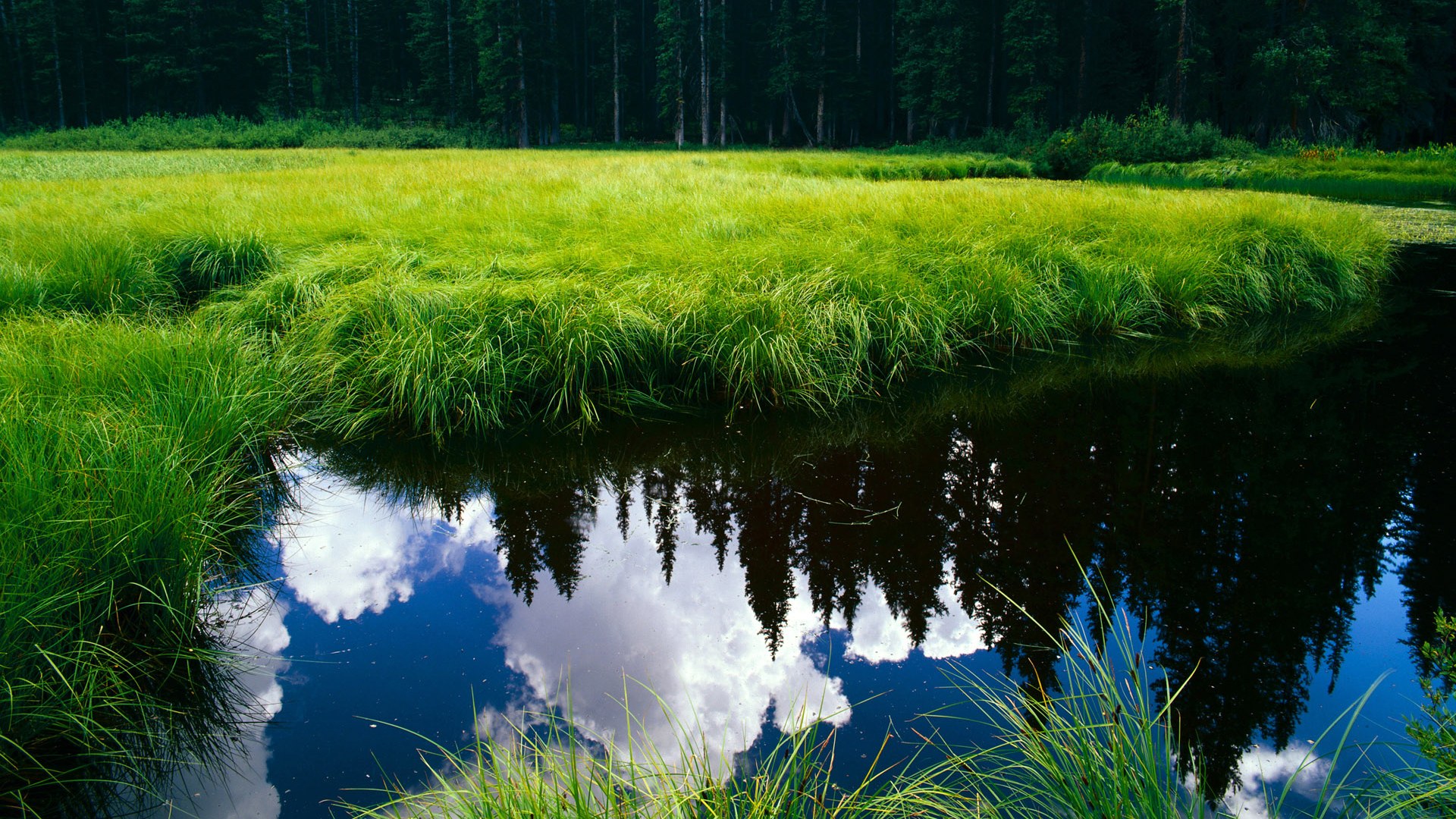 开云中国-历史回顾：NBA经典反转瞬间回顾，nba经典的反转篮球赛