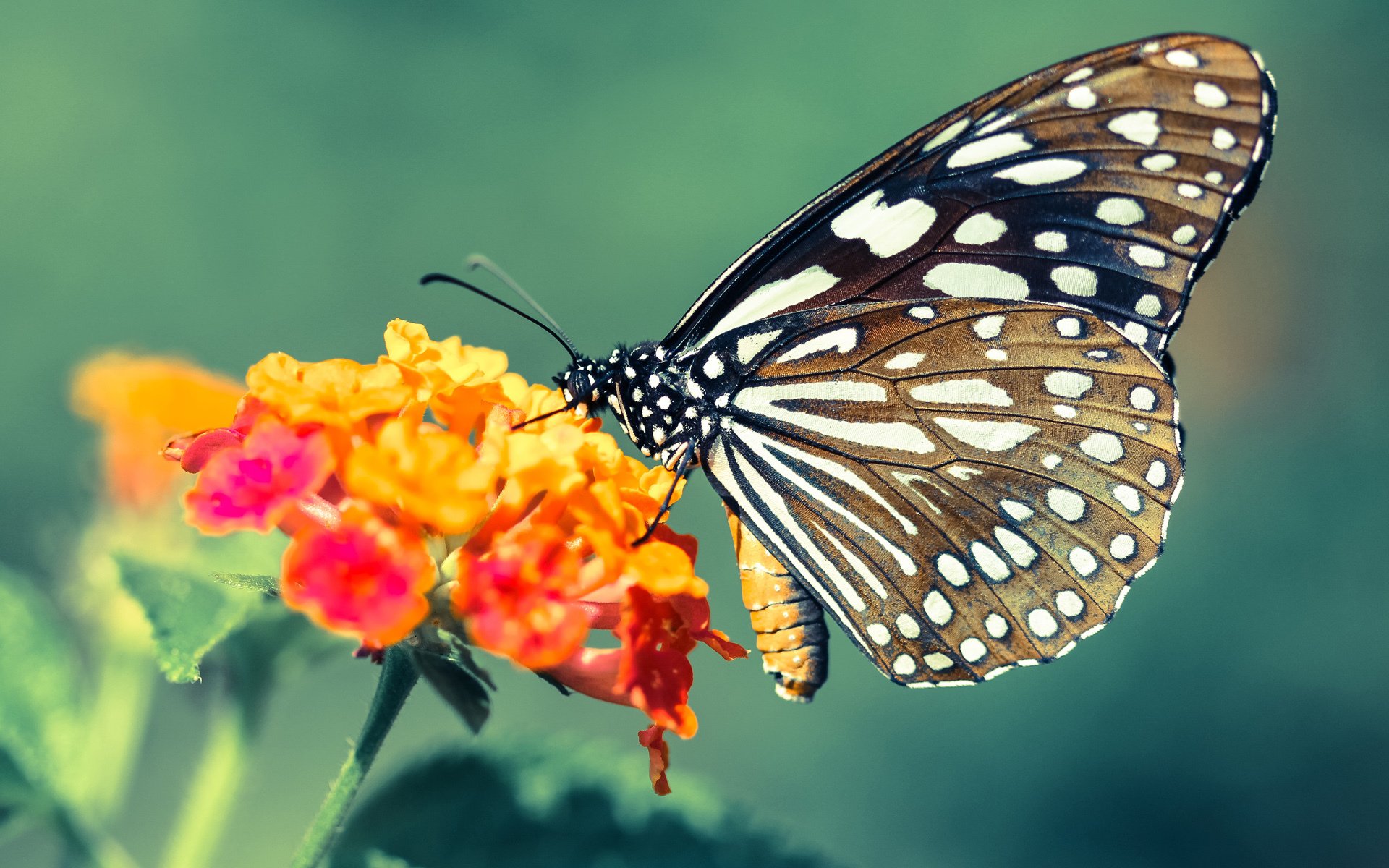 开云官方网站-精彩瞬间盘点：年度十佳击球一览，击球运动