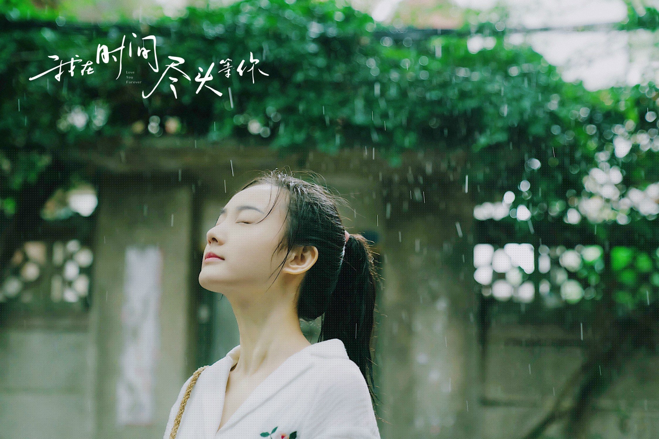 赛场强手:谁是本赛季最大的夺冠热门?,新赛季胜率排行