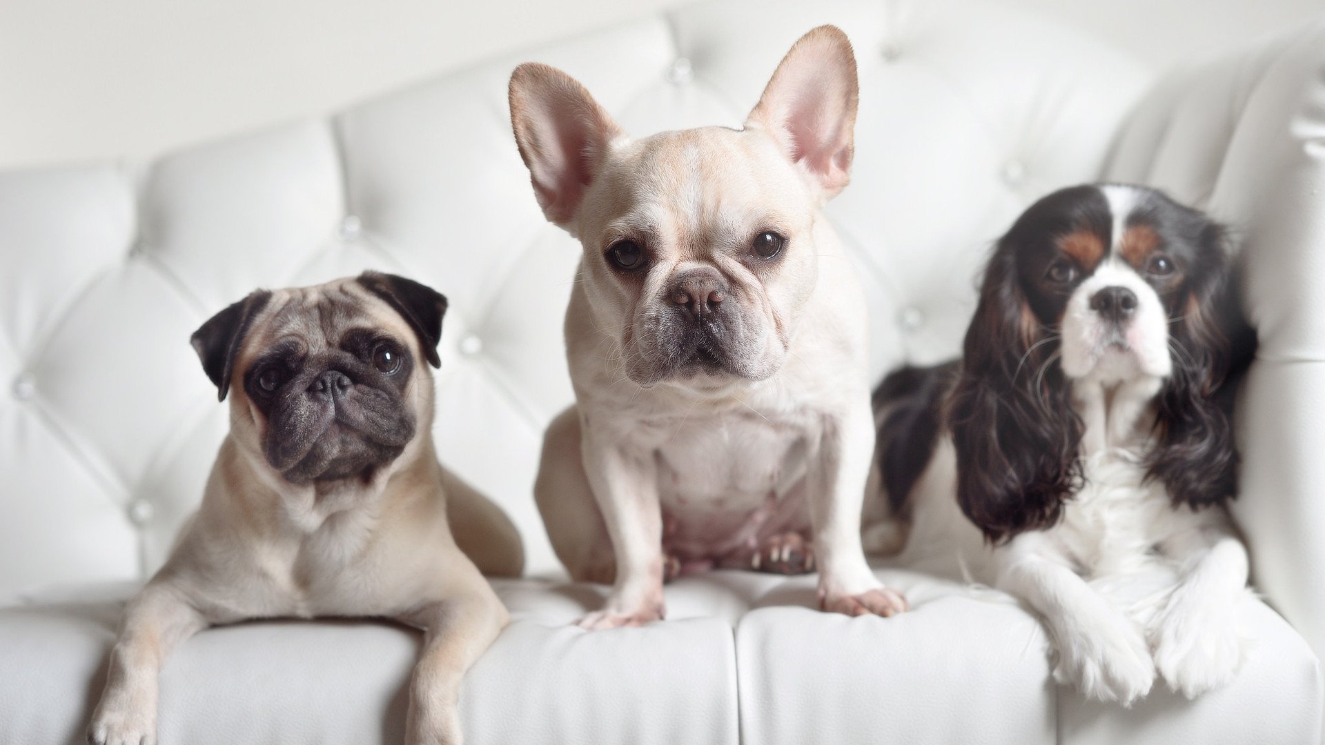 KPL赛事规则更新公布,kpl比赛规则