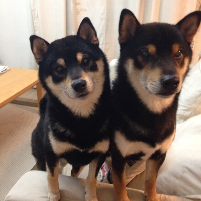 开云官网-LPL战队粉丝活动火爆举办，lol各战队粉丝外号