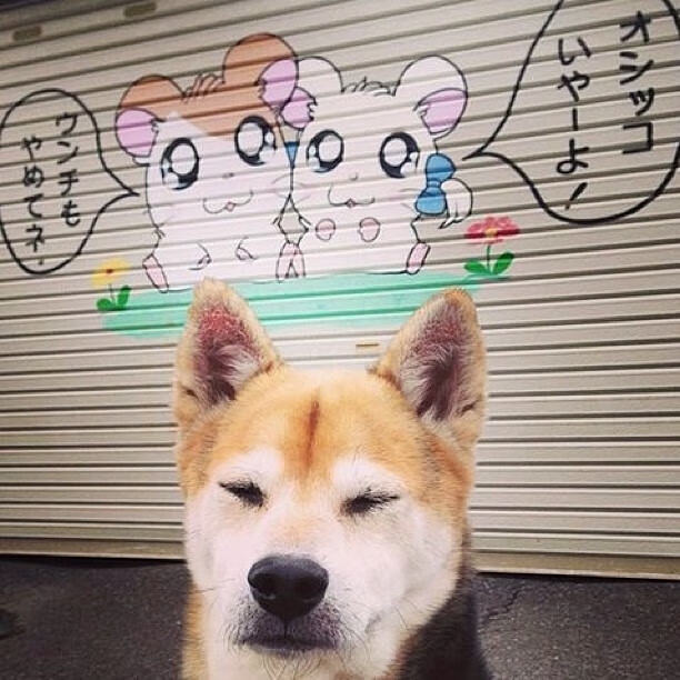 全北现代连续三轮保持不败,全北现代打法