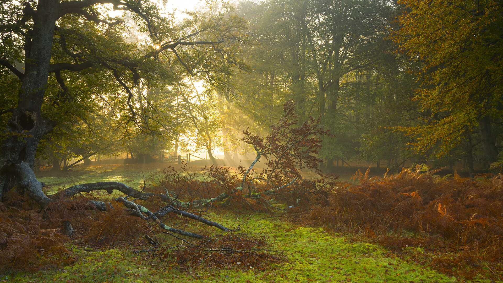 利兹联进攻多样化,白玫瑰军团冲击欧战,利兹联为什么叫白玫瑰