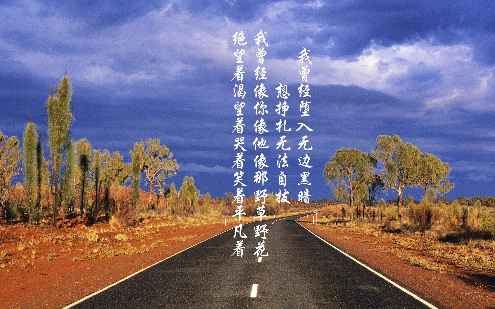 开云体育APP下载-奇才比尔再度发威主场取胜，奇才比尔什么时候复出