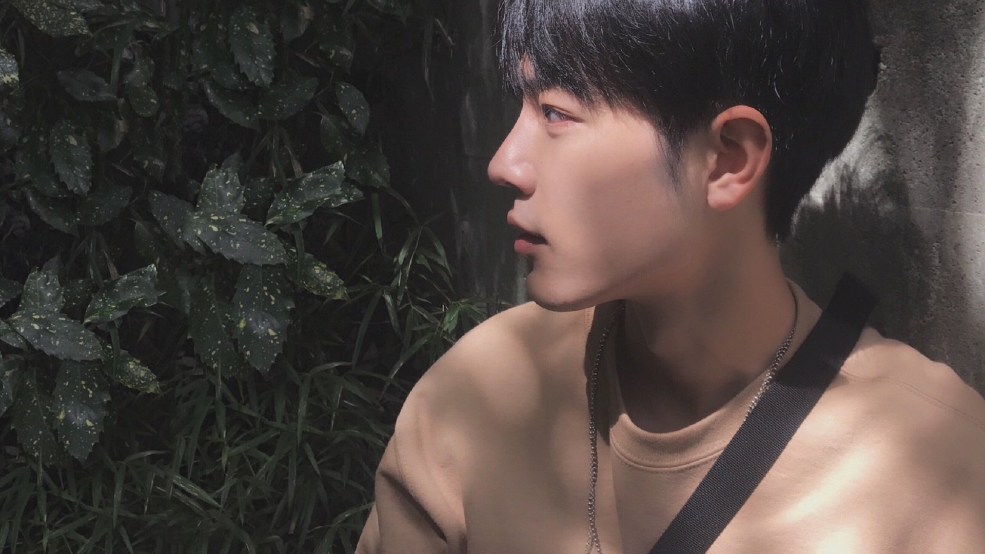 开云体育APP下载-布莱顿阵型灵活多变，海鸥军团渴望高位，布莱顿海湾