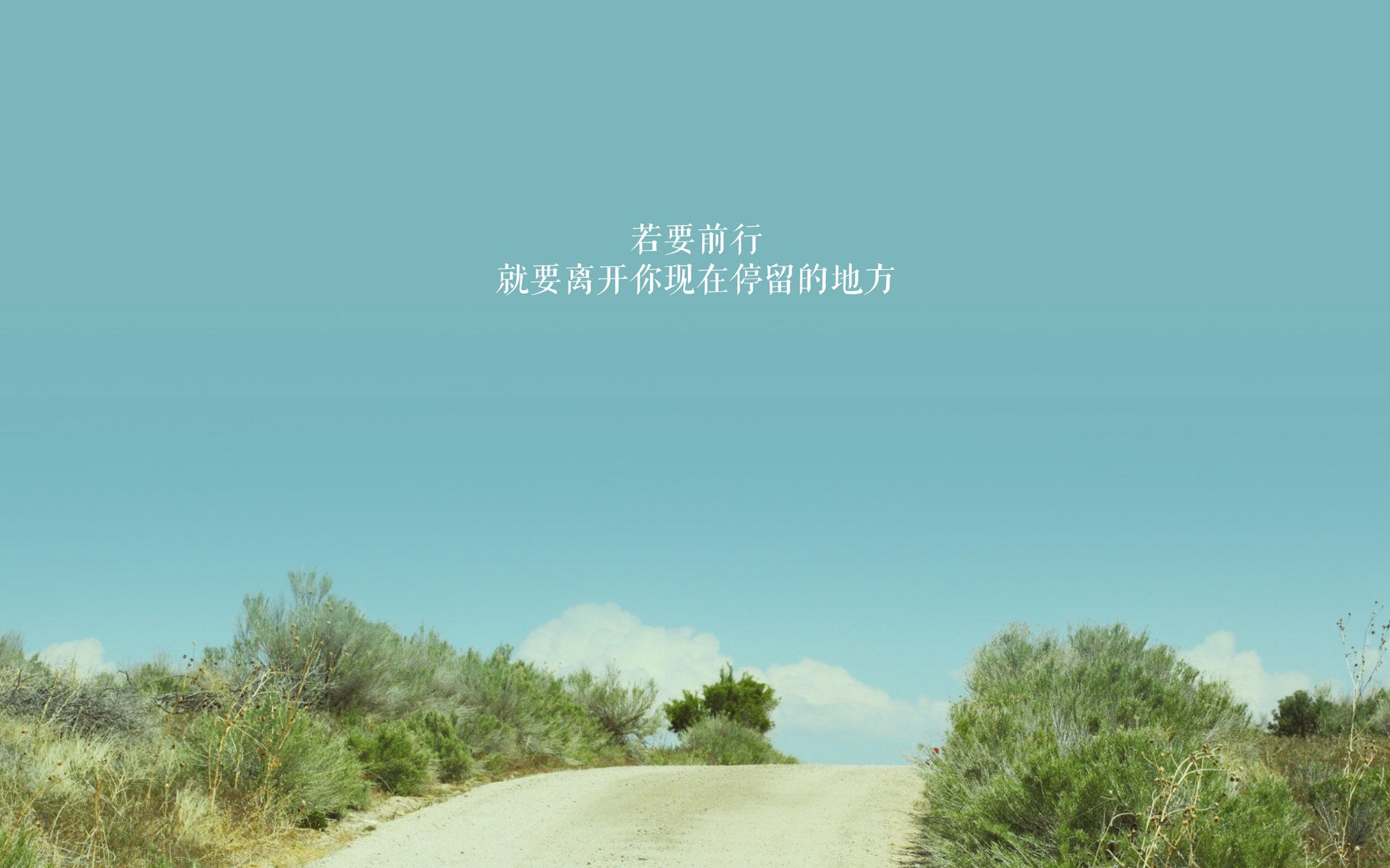 kaiyun开云·官方网站-德国男子81公斤级柔道选手在比赛中获得第七名，德国柔道运动员