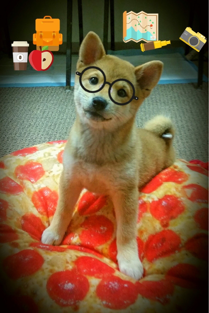 开云官网-格尔木巨人豪取两连胜，稳健前行晋级，格尔木之父