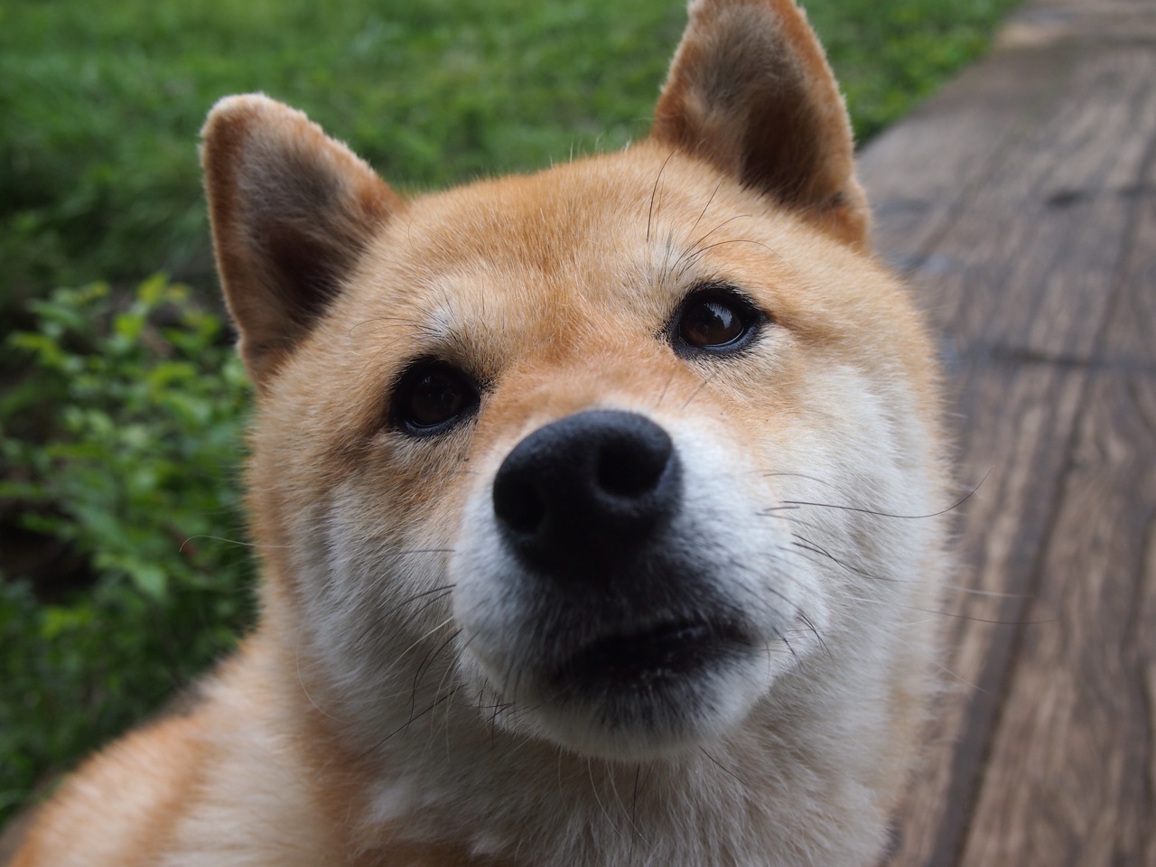 开云·体育官网APP下载-湖人中锋荣膺最佳防守球员 引发球迷热议，湖人中锋人选