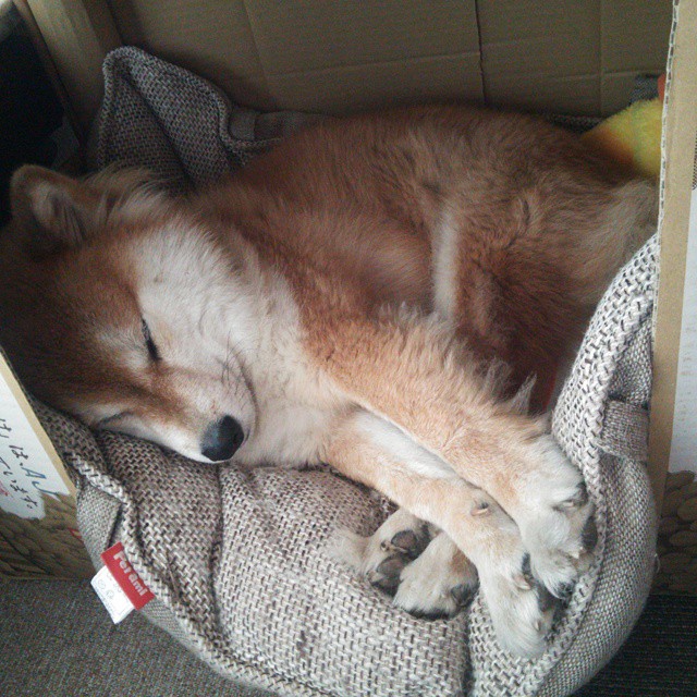 精彩足球边路突破全记录,足球边锋突破技巧