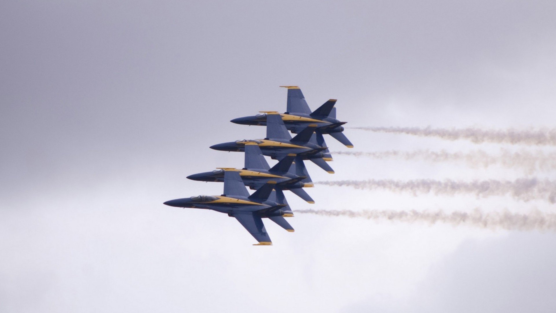 鹈鹕队再次遭遇伤病困扰,球队备战受阻,鹈鹕队队员名单最新