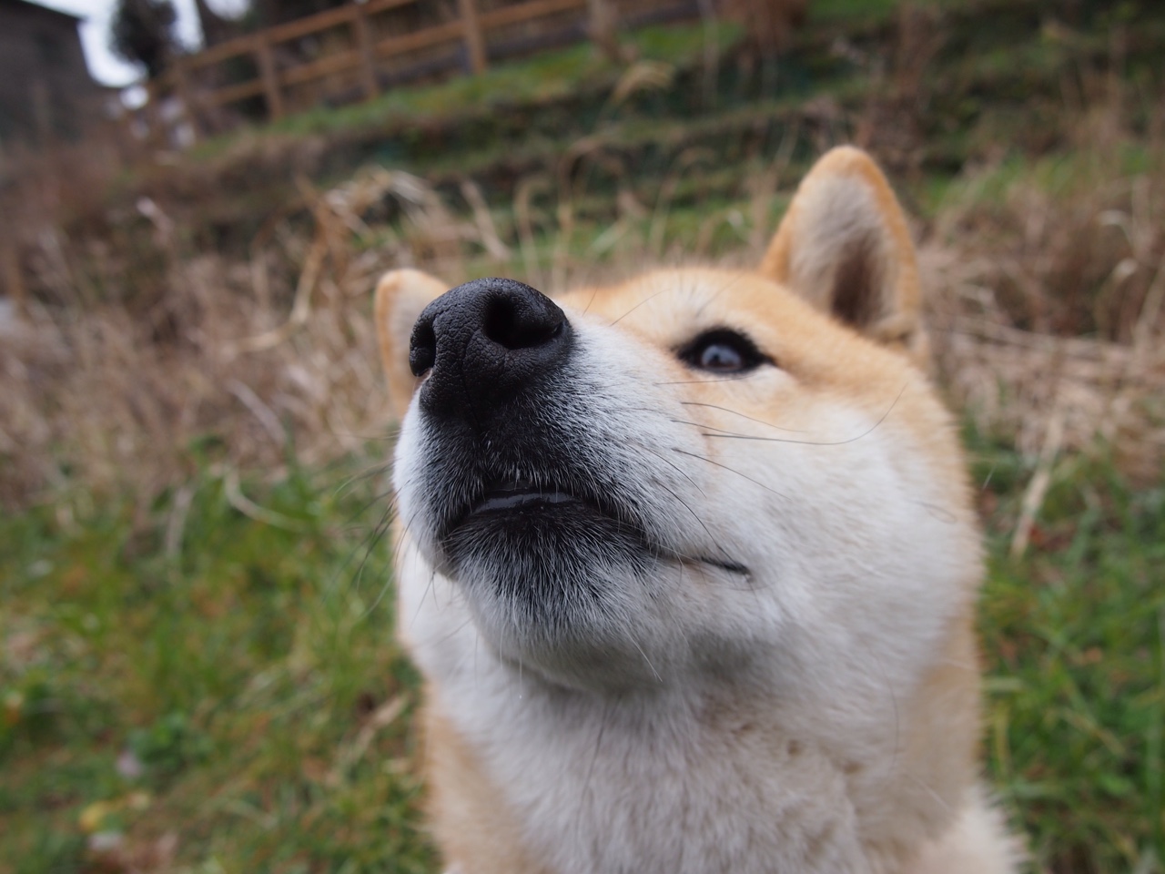 kaiyun体育综合-国际乒联混合团体世界杯：澳大利亚队展现顽强毅力的赛场表现，澳大利亚乒乓球公开赛比赛结果