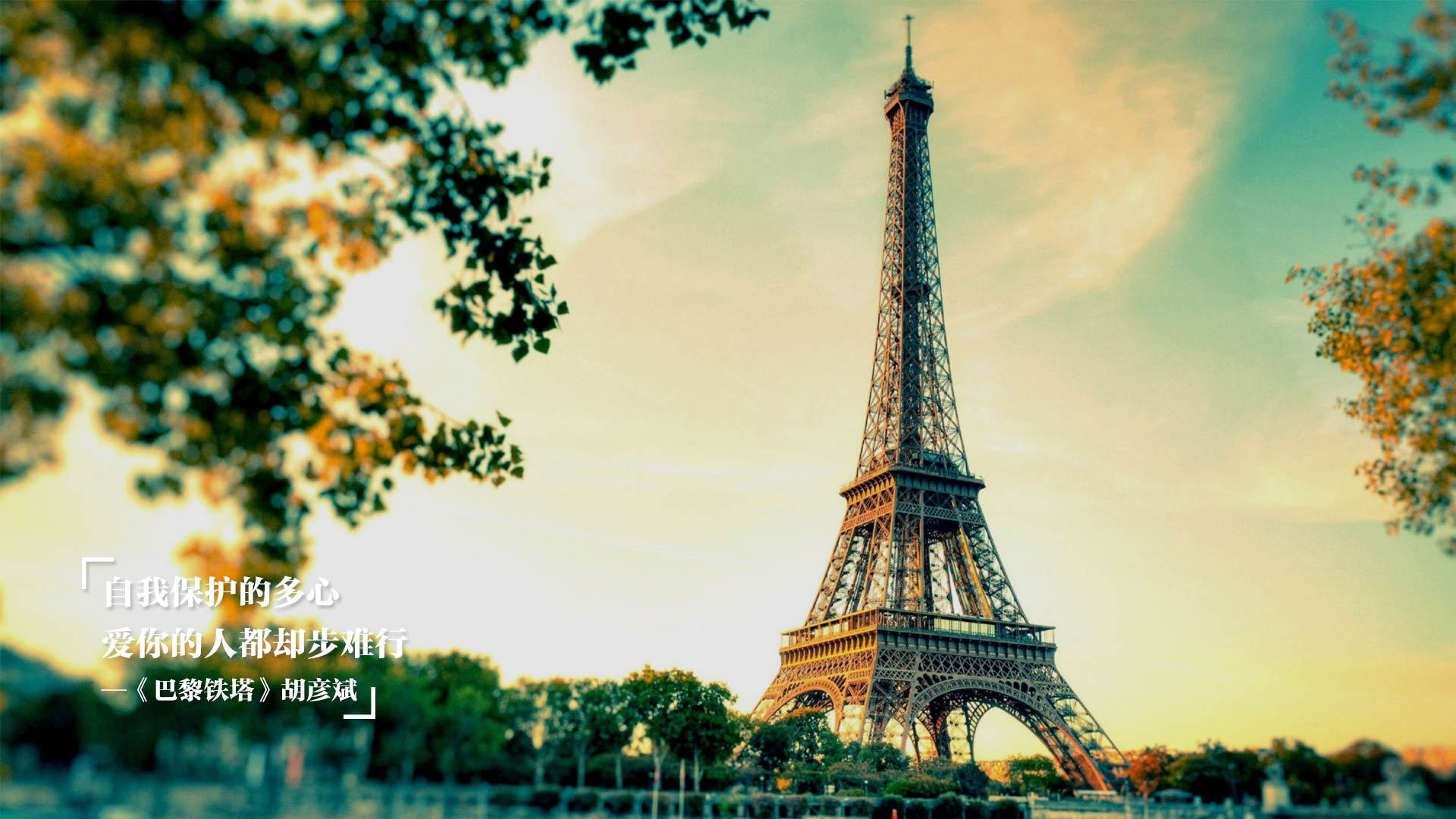 kaiyun网站-张雨霏个人金牌数达历史新高，张雨霏已获几块金牌