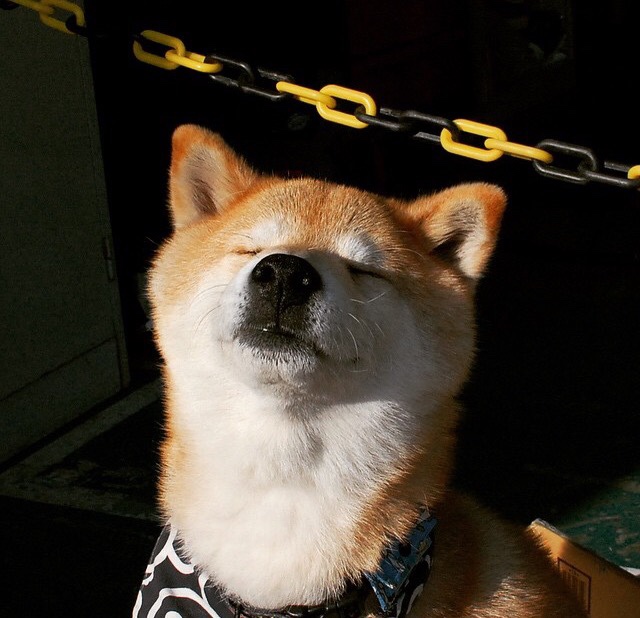 开云·体育官网APP下载-曼城保持控场优势打出全面压制，曼城状态