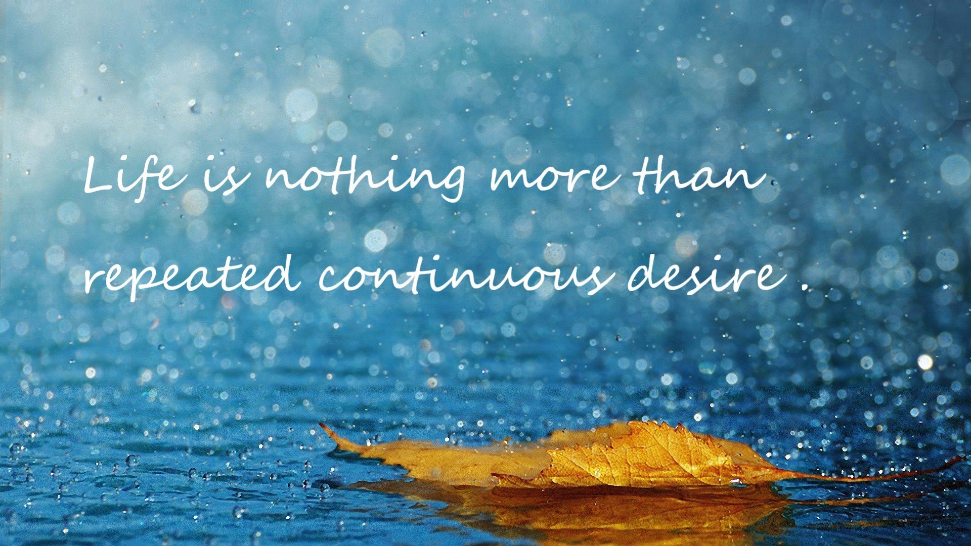 选手伤病困扰影响比赛状态团队调整战术应对