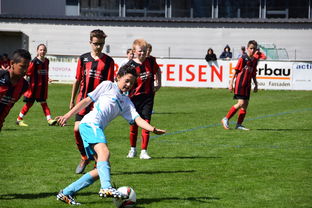 开云中国大陆-未来足球场馆实现“碳中和”目标，绿色科技应用成果显著