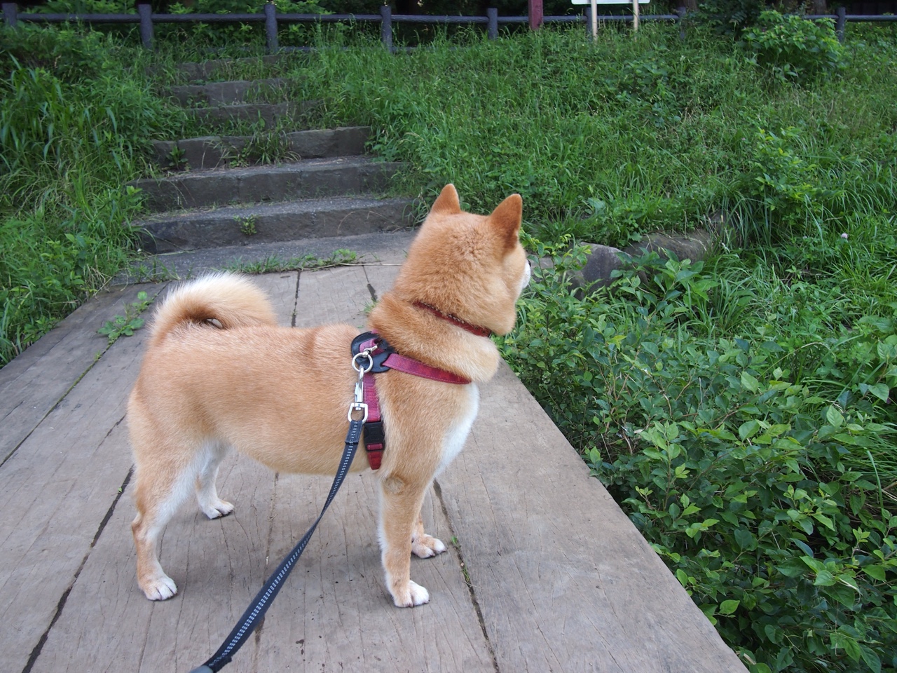 kaiyun开云·官方网站-极限滑板训练基地正式对外开放，极限滑板也太难了吧