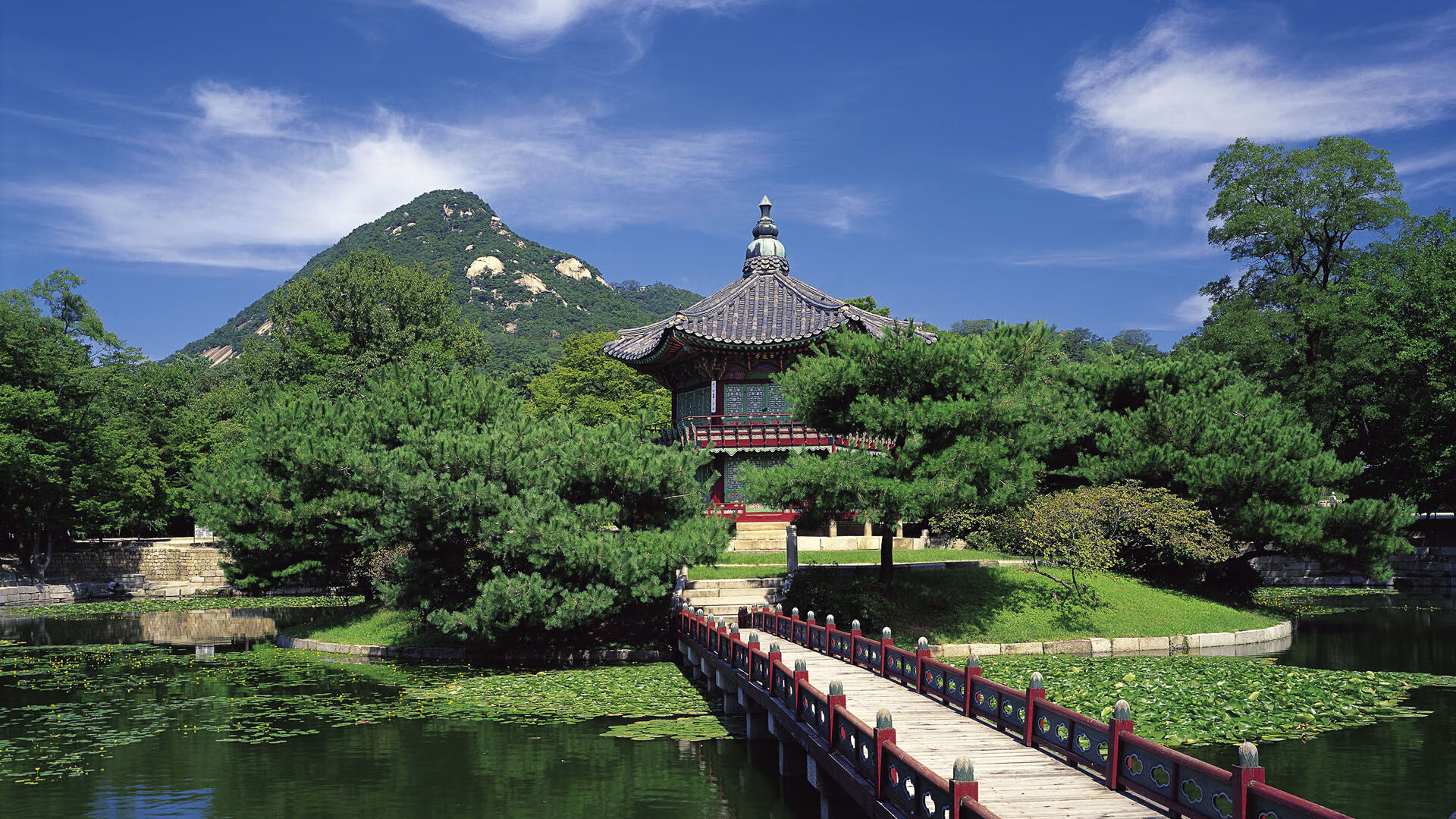 法国橄榄球比赛吸引大批投资,赛事品牌影响力大增,法国 橄榄球