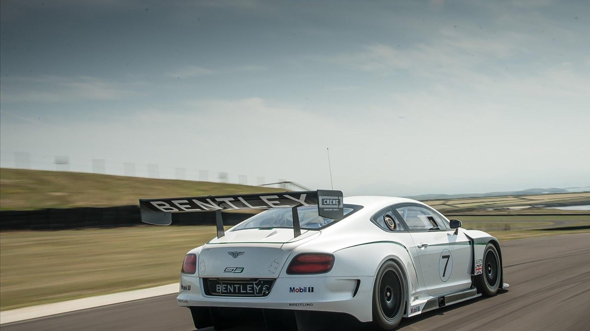 美洲杯激情四溢:逆境中的坚韧不拔,美洲杯视频集锦